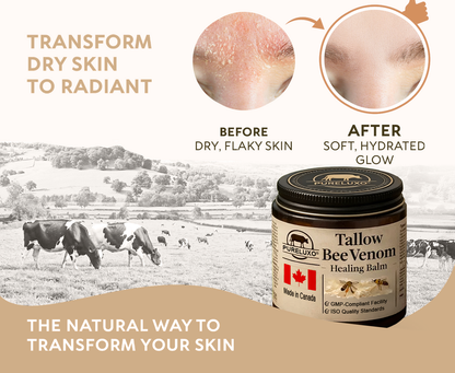 【70% OFF Ends Today】Pureluxo® Tallow Bee Venom Healing Balm（Targets Bumps, Wrinkles & Stressed Skin — Without Steroids）