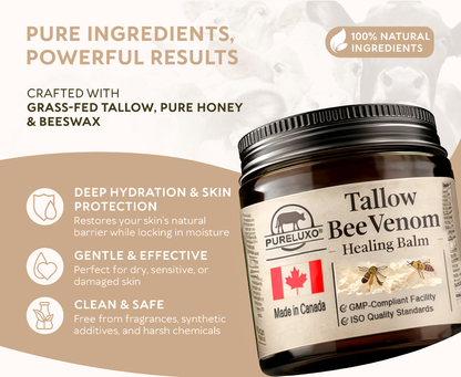 【70% OFF Ends Today】Pureluxo® Tallow Bee Venom Healing Balm（Targets Bumps, Wrinkles & Stressed Skin — Without Steroids）