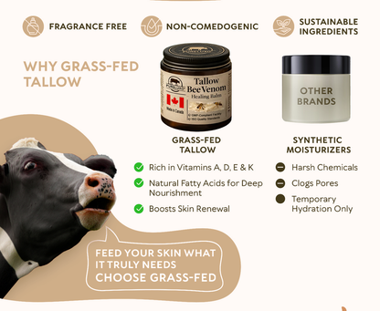 【70% OFF Ends Today】Pureluxo® Tallow Bee Venom Healing Balm（Targets Bumps, Wrinkles & Stressed Skin — Without Steroids）